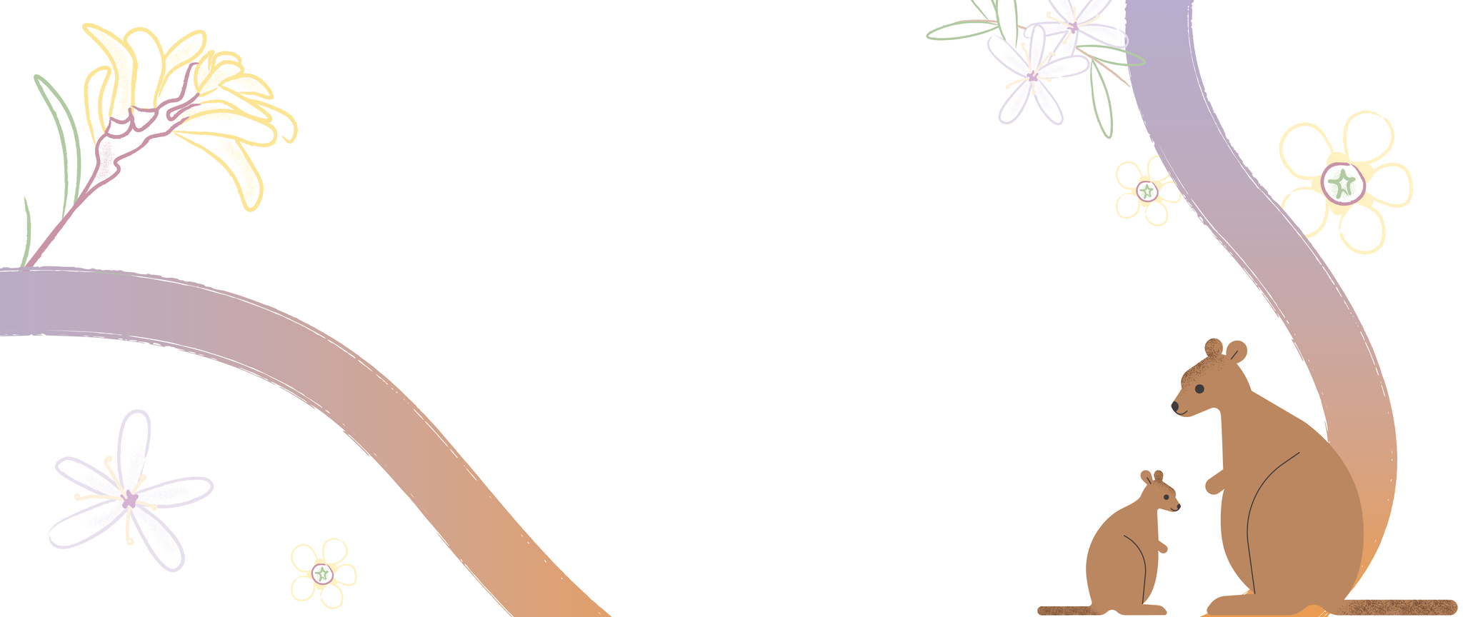 Decorative banner featuring illustrated wallabies amidst fluid, vibrant brushstrokes and outlined native flora.